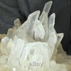 3.5lb Large Natural Clear White Quartz Crystal Cluster Rough Healing Specimen