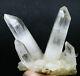 3.62 Lb Natural Clear Quartz Crystal Cluster Point Healing Mineral Specimen