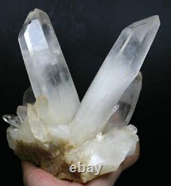 3.62 lb Natural Clear Quartz Crystal Cluster Point Healing Mineral Specimen