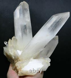 3.62 lb Natural Clear Quartz Crystal Cluster Point Healing Mineral Specimen