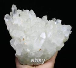 3.65lb Natural Beautiful white Quartz Crystal Cluster POINT Mineral Specimen