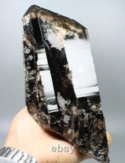 3.75lb Natural Rare Beautiful Black QUARTZ Crystal Cluster Mineral Specimen