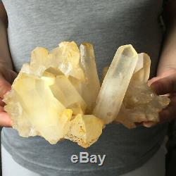 3.7lb Large Natural Clear Yellow Quartz Crystal Cluster Rough Healing Specimen