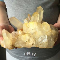 3.7lb Large Natural Clear Yellow Quartz Crystal Cluster Rough Healing Specimen