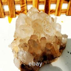 3.82LB Natural white crystal cluster single point mineral specimen Reiki Healing