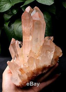 3.89lb A+Natural Rare Beautiful Red skin QUARTZ Cluster Crystal Tibetan Specimen