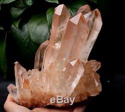 3.89lb A+Natural Rare Beautiful Red skin QUARTZ Cluster Crystal Tibetan Specimen