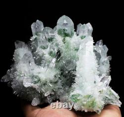 3.90lb New Find Beatiful Green Tibetan Phantom Quartz Crystal Cluster Specimen