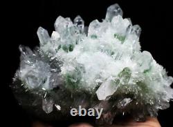 3.90lb New Find Beatiful Green Tibetan Phantom Quartz Crystal Cluster Specimen