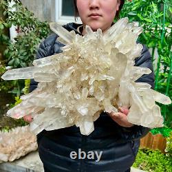 30.69LB Clear Natural Beautiful White QUARTZ Crystal Cluster Specimen