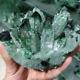 300-900g Natural Green Ghost Phantom Quartz Crystal Cluster Healing Specimen