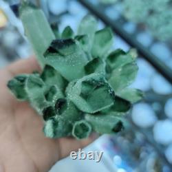 300-900g Natural Green Ghost Phantom Quartz Crystal Cluster Healing Specimen