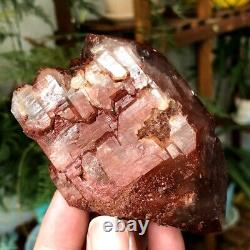 305g Rare Natural Red Ghost Quartz Crystal Cluster Raw Rough Mineral Specimens