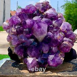 31.37LB Natural Amethyst geode quartz cluster crystal specimen Healing