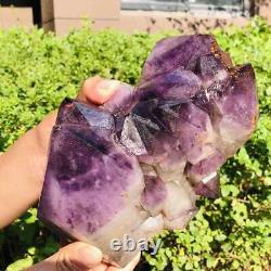 3130G Natural Amethyst Cluster Purple Quartz Crystal Rare Mineral Specimen