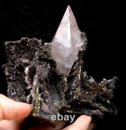 313g NATURAL Calcite Grow with chalcopyrite Crystal Cluster Specimen/Hubei
