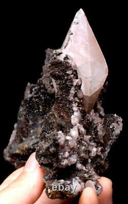 313g NATURAL Calcite Grow with chalcopyrite Crystal Cluster Specimen/Hubei