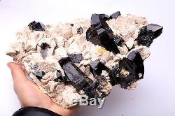 3145g Natural Rare Beautiful Black QUARTZ Crystal Cluster Mineral Specimen