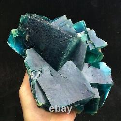 3205g BIG! Deep Green/Blue Cubic Fluorite Crystal Cluster Mineral Specimen