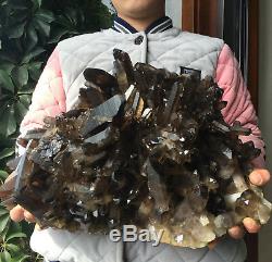 33.0lb Huge Natural Black Smoky Quartz Crystal Cluster Rough Healing Specimen