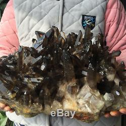 33.0lb Huge Natural Black Smoky Quartz Crystal Cluster Rough Healing Specimen