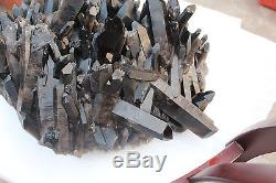 33.7kg 74.2lbs Natural Beautiful black QUARTZ Crystal Cluster Specimen
