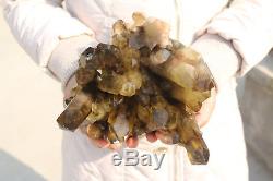3300g Natural Beautiful Citrine Smoke Quartz Crystal Cluster Tibetan Specimen