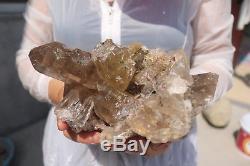 3300g Natural gold Hair Rutilated Quartz Crystal Gem Cluster Specimen-Brazil B73