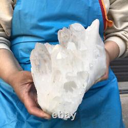 3310g Natural Clear Quartz Crystal Cluster Specimen Healing HH402