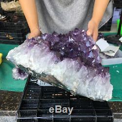 33LB Natural Amethyst Quartz Cluster Mineral Crystal Specimen Healing ZX4434