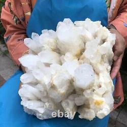 34.76LB Natural Transparent White Quartz Crystal Cluster Specimen Healing 1123