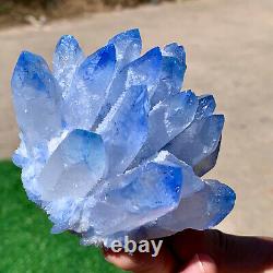 344G Newly Discovered blue Phantom Quartz Crystal Cluster Mineral Sample Restora