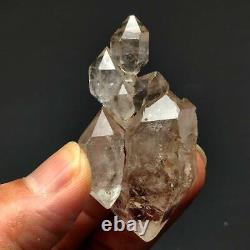 34g Natural skeletal Elestial Quartz Crystal Cluster Mineral Specimen D0006