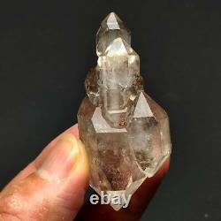34g Natural skeletal Elestial Quartz Crystal Cluster Mineral Specimen D0006