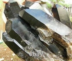 35.8 LB Natural XL Black Quartz Crystal Cluster Mineral Specimen RARE