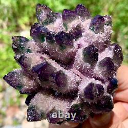 356G New Find PURPLE PhantomQuartz Crystal Cluster MineralSpecimen