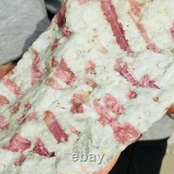 3640g Huge Natural Pink Tourmaline Crystal Cluster Rough Healing Specimen