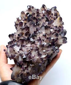 3807g RARE! New Find Amethyst Quartz Crystal Cluster Specimen 01