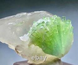 383 ct Amazing Tourmaline Crystals Bunch With Quartz From Afghanistan
