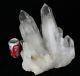39.6lb Aaa+++ Clear Natural White Quartz Crystal Cluster Specimen
