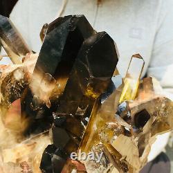 3900g Large Natural Black Smoky Quartz Crystal Cluster Rough Healing Specimen