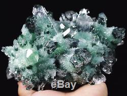 4.01lb New Find Green Phantom Quartz Crystal Cluster Mineral Specimen Healing