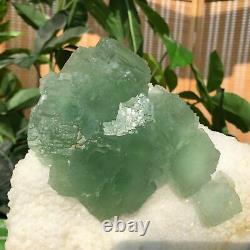 4.1 LB Natural 11 Green Cubic Fluorite Quartz Crystal Cluster Mineral Specimen