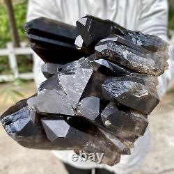 4.18LB Natural Beautiful Black Quartz Crystal Cluster Mineral Specimen Rar