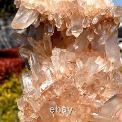 4.1LB Top natural transparent crystal quartz crystal cluster mineral specimen