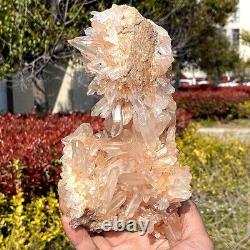 4.1LB Top natural transparent crystal quartz crystal cluster mineral specimen