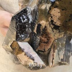 4.31LB Smokey crystal cluster quartz crystal point mineral specimen gem XC769