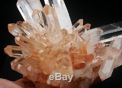 4.36lb AAA+++ Clear Natural Pink QUARTZ Crystal Cluster Mineral Specimen