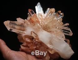 4.36lb AAA+++ Clear Natural Pink QUARTZ Crystal Cluster Mineral Specimen