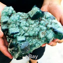 4.41LB NATURALGreen FLUORITE Quartz Crystal Cluster Mineral Specimen FLLSFFC194